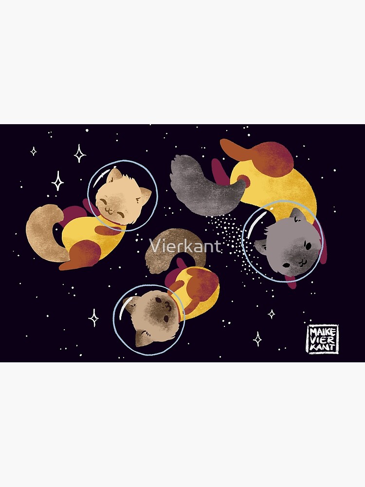 Space Cats by Vierkant