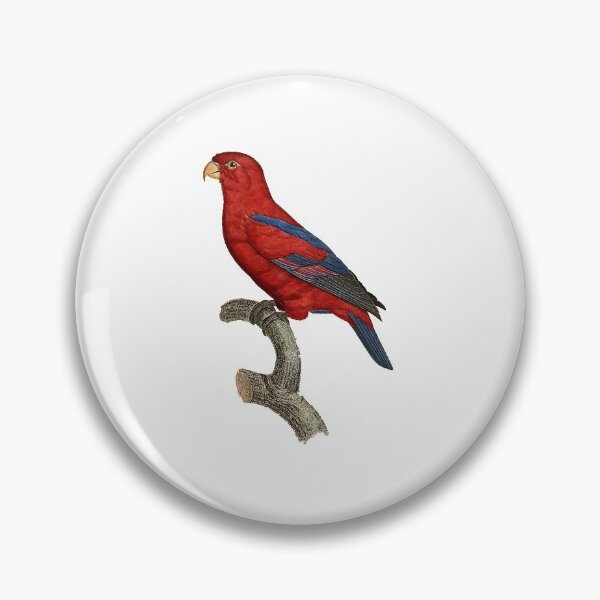 Item preview, Red lory designed and sold by Photopicture.
