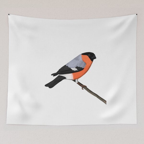 Item preview, Bullfinch bird drawing Nature Animal gift women girls men designed and sold by jz-birds.