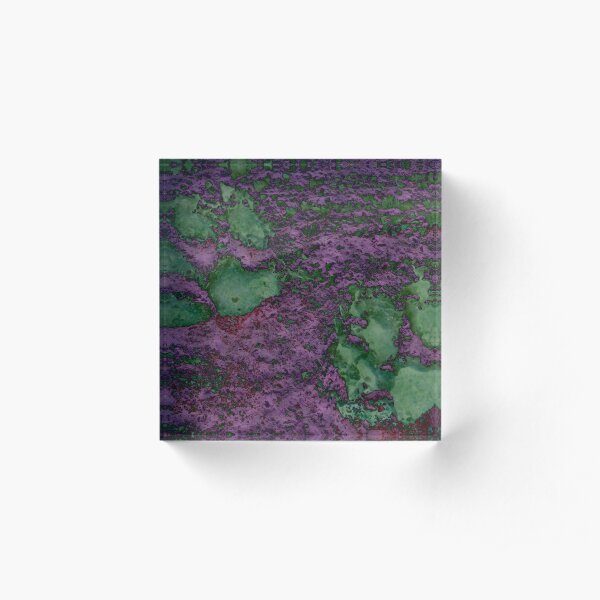 Paw Prints Green And Mauve Acrylic Block
