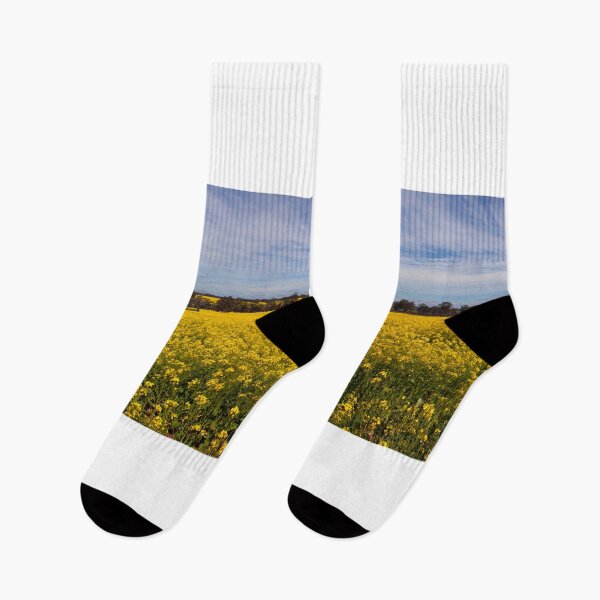 Item preview, Panorama of Canola fields, Frankland River  designed and sold by scottimage.