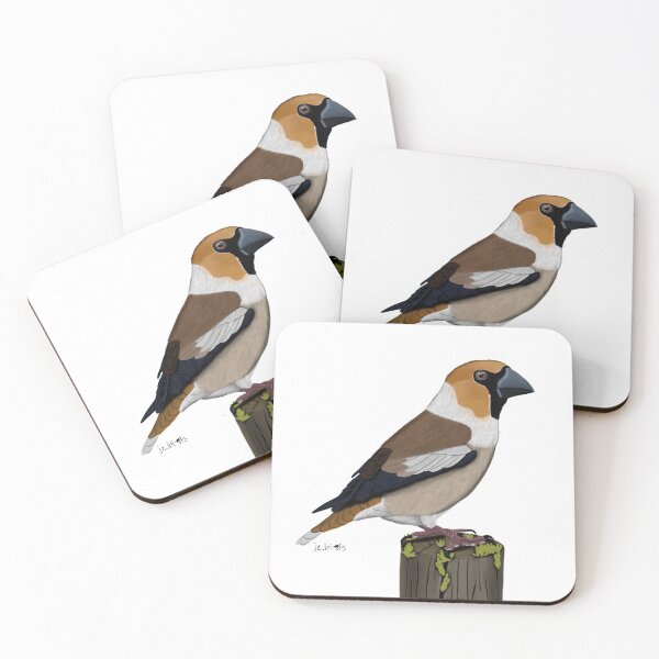 Item preview, Hawfinch bird drawing Nature Animal gift women girls men designed and sold by jz-birds.