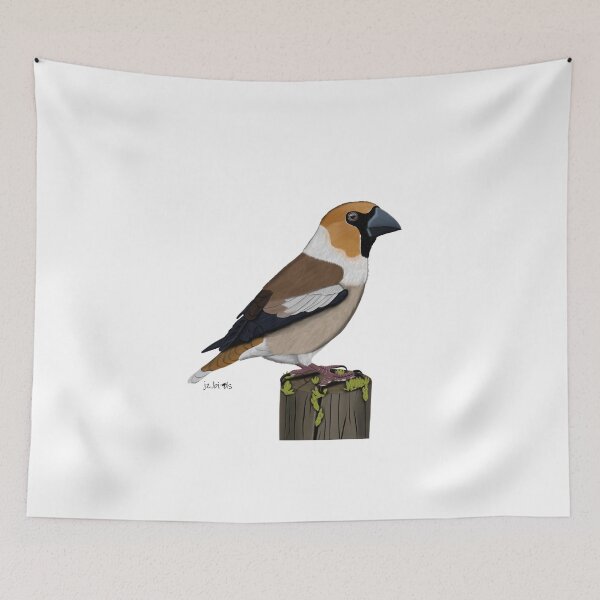 Item preview, Hawfinch bird drawing Nature Animal gift women girls men designed and sold by jz-birds.