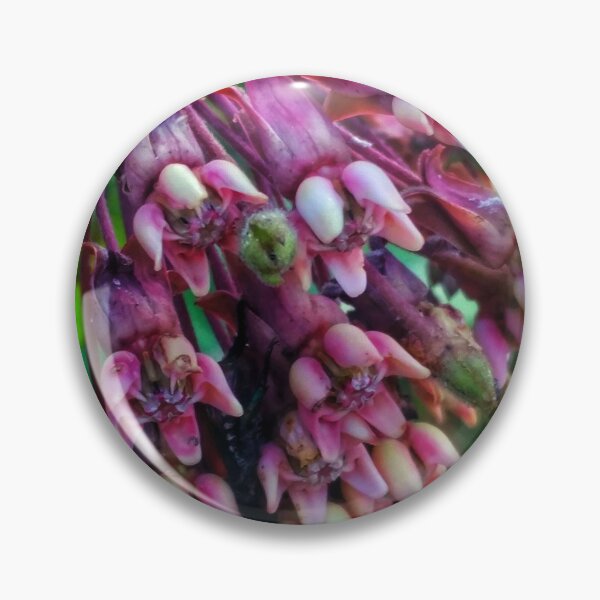 Item preview, Milkweed designed and sold by The Rage Garden.
