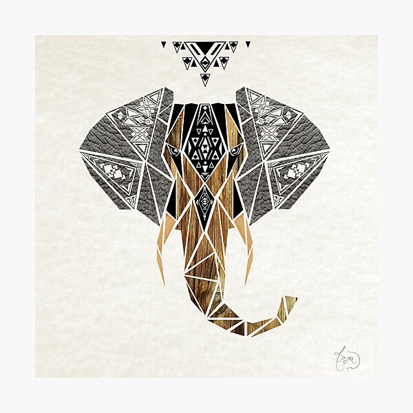 elephant Photographic Print