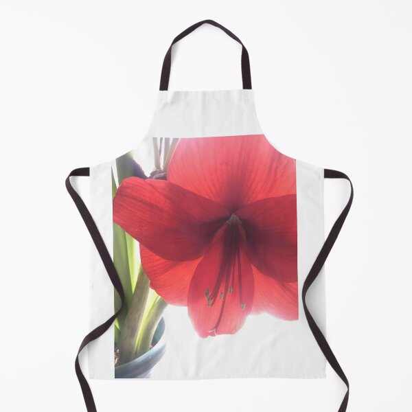 Item preview, Translucent Amaryllis designed and sold by Amanda1775.