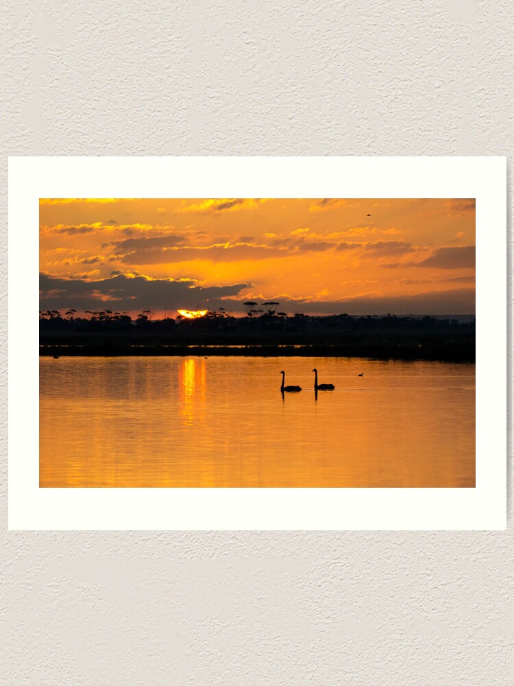 Alternate view of Sunset over Lake Borrie Art Print