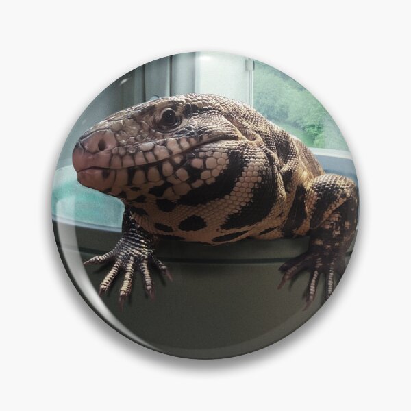 Item preview, Tegu in hot tub  designed and sold by Spikesandscales.