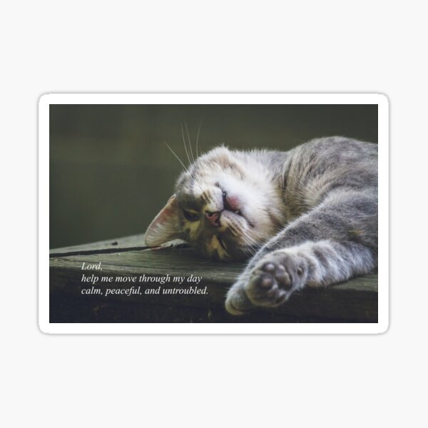 A Prayer For Serenity (Murphy) Sticker