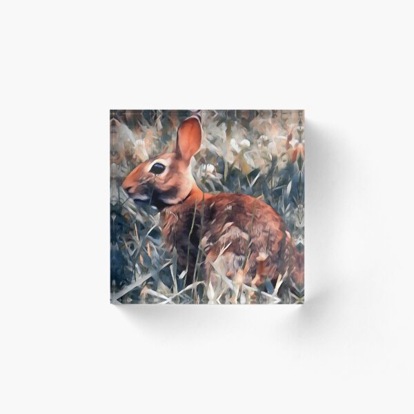 Woodland bunny rabbit Acrylic Block