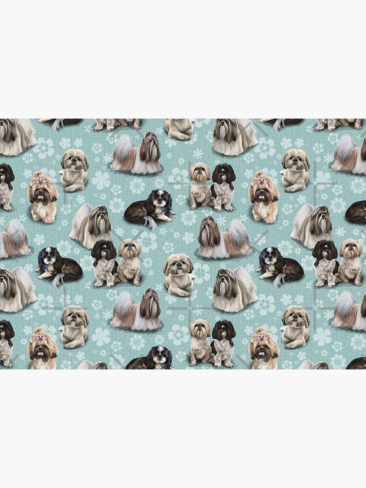 The Shih Tzu by elspethrose