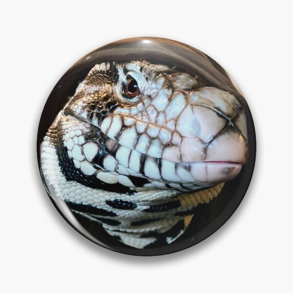 Item preview, Tegu hipster designed and sold by Spikesandscales.