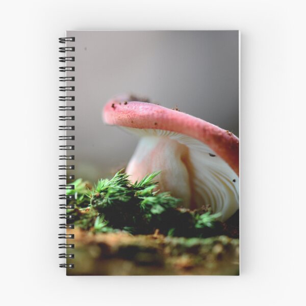 Item preview, Russula sp. designed and sold by Erin Anderson.