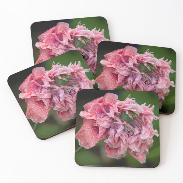 Item preview, Bewitched, Bedraggled and Bewildered designed and sold by SMartin.