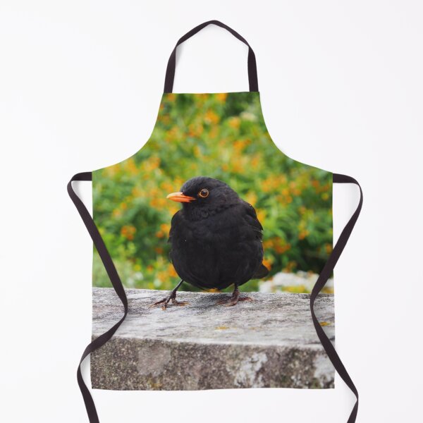 Item preview, Blackbird On The Wall - Tresco Abbey Gardens, Scilly Isles designed and sold by niki2028.