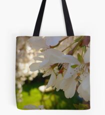 Cherry Blossoms Tote Bag