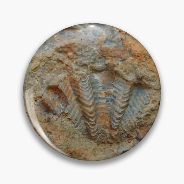 Item preview, Shell Fossil designed and sold by The Rage Garden.