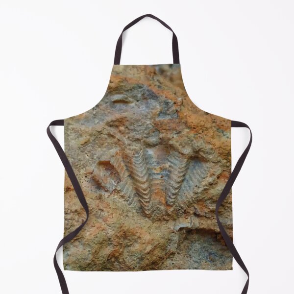 Item preview, Shell Fossil designed and sold by The Rage Garden.