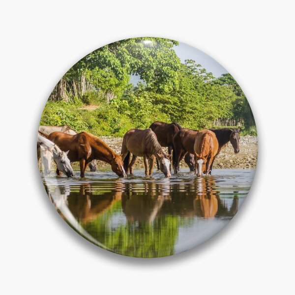 Item preview, Herd of horses drinks by the river, Dominican Republic designed and sold by Nicole Bleck.