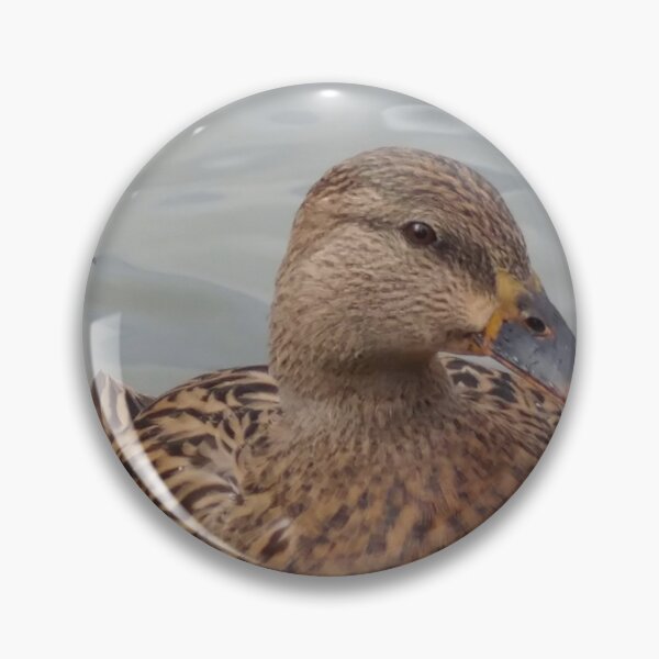 Item preview, Framed Ducks designed and sold by The Rage Garden.