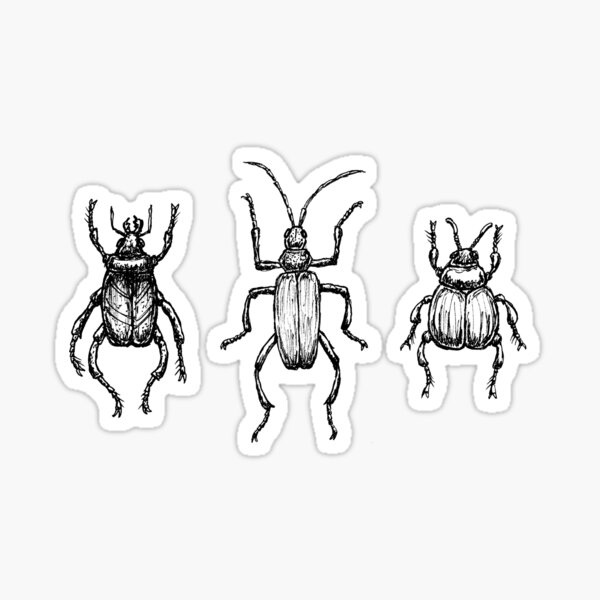 Item preview, beetle trio collection  designed and sold by cam-graphics.
