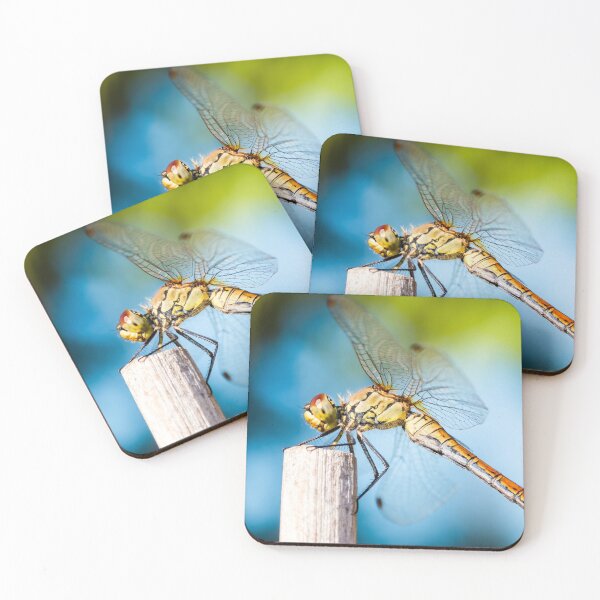 Item preview, Beautiful colorful dragonfly insect resting on dried bamboo stick in summer taken in macro designed and sold by Grégory DUBUS.