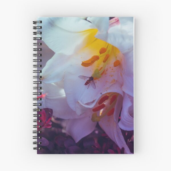 Item preview, Lily designed and sold by AMoncurPhoto.