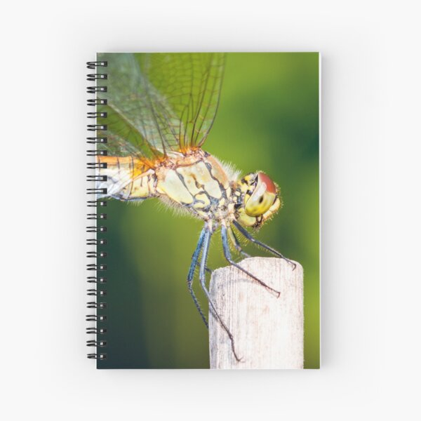 Orange Cahier à spirale