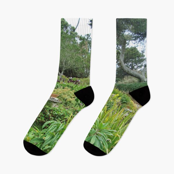 Item preview, Tresco Abbey Gardens, Scilly Isles designed and sold by niki2028.