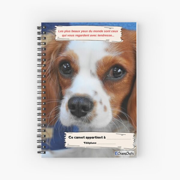 I illustrate my notebooks Spiral Notebook