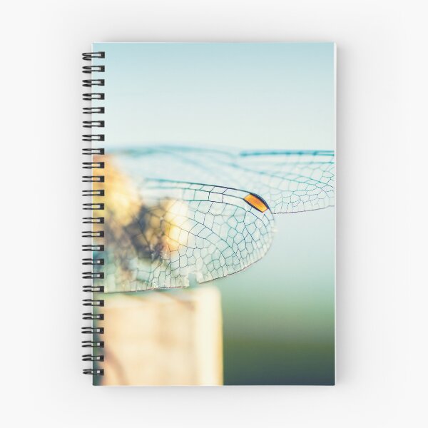 Item preview, Beautiful colorful dragonfly insect resting on dried bamboo stick in summer taken in macro designed and sold by Grégory DUBUS.