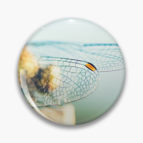 Item preview, Beautiful colorful dragonfly insect resting on dried bamboo stick in summer taken in macro designed and sold by Grégory DUBUS.