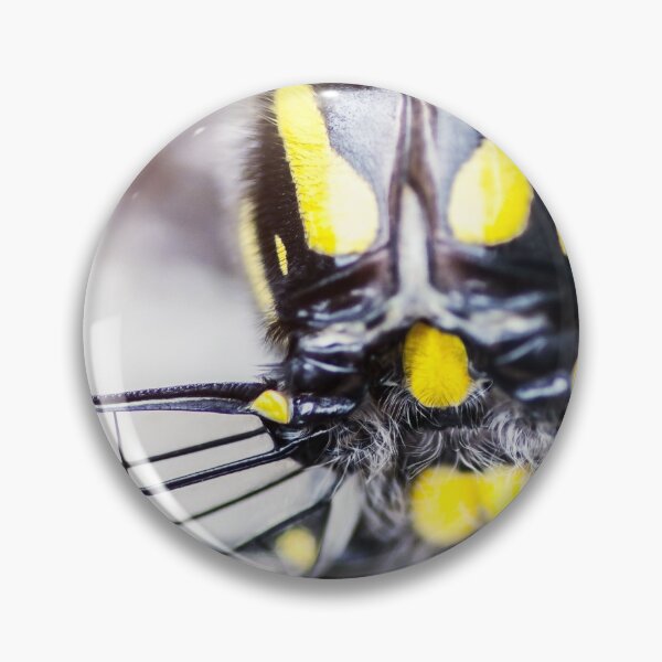 Item preview, Beautiful back view extreme macro of yellow and black dragonfly insect designed and sold by Grégory DUBUS.