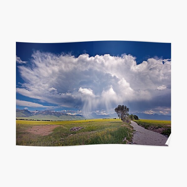 Feather Rain Kisses Poster