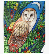 White Heart (Portrait of a Barn Owl) Poster