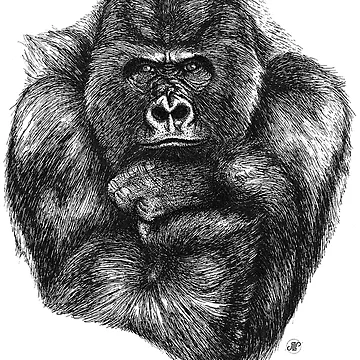 Artwork thumbnail, Go Rilla REAL by square1studio