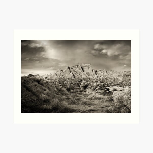 Arches Greyscale Garden Art Print