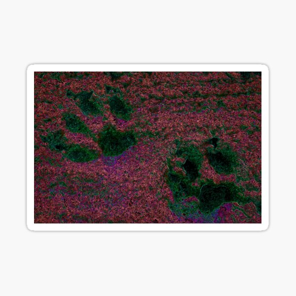 Paw Prints Red and Green Sticker