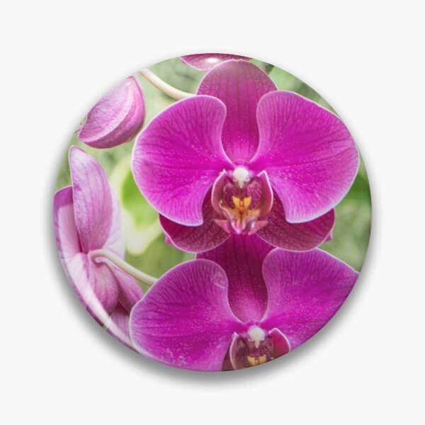 Item preview, Pink Orchid designed and sold by ArtbyLina.