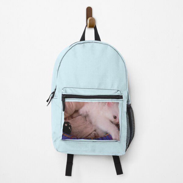 Item preview, White Persian Fluffy Baby Cat Vanda Playing (Photo by ACCI) designed and sold by VanyssaGraphics.