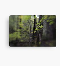 Hounslow Canvas Print