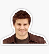 David Boreanaz Sticker