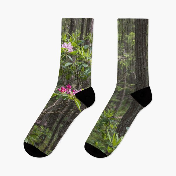 Item preview, Rhododendron Blooming in Forest - Manning Park designed and sold by Amy Mitchell.