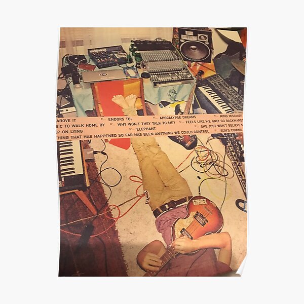 apprivoiser l'impala Poster