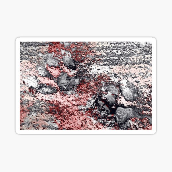 Paw Prints in Grey and Red Sticker