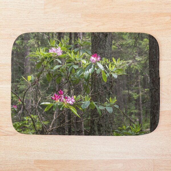 Artikelvorschau, Rhododendron blüht im Wald - Manning Park entworfen und verkauft von Amy Mitchell.