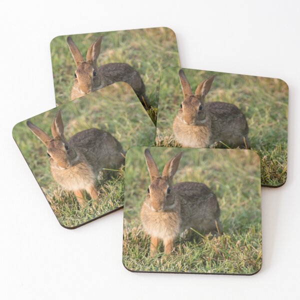 Item preview, Bunny designed and sold by TinyCameraNinja.