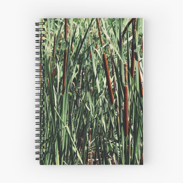 Item preview, Cattails designed and sold by Maggie Reynolds.