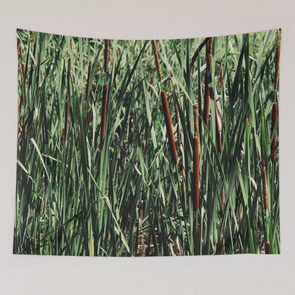Item preview, Cattails designed and sold by Maggie Reynolds.