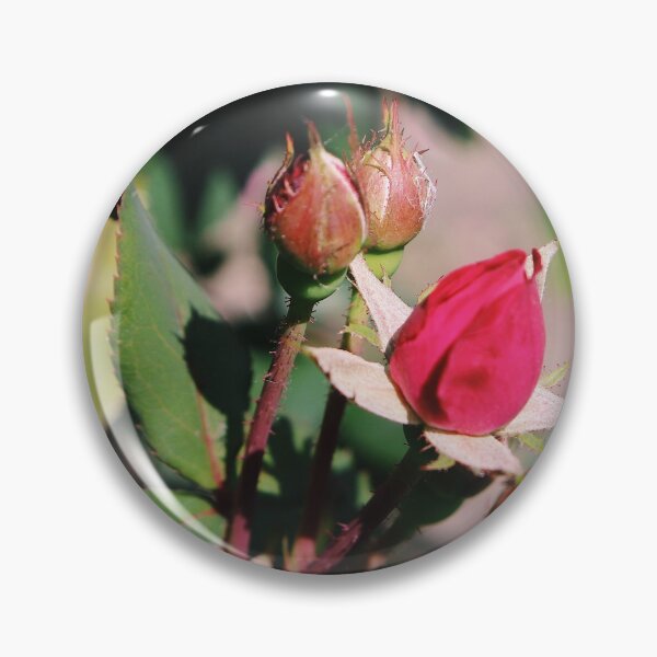 Item preview, Rosebud designed and sold by Maggie Reynolds.